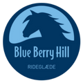 BBH Logo Rideglæde